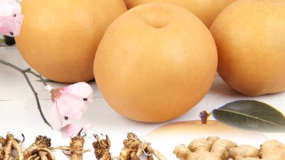 꿀배농원 후기: 놓치면 후회!🍯 달콤함에 푹 빠진 이야기